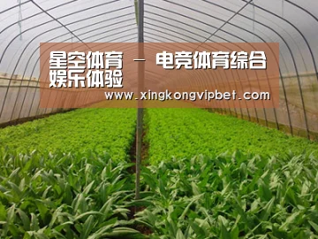 种植基地四