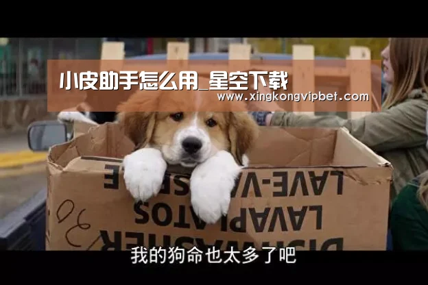 小皮助手怎么用_星空下载(图1) 星空平台