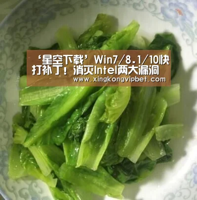 ‘星空下载’Win7/8.1/10快打补丁!消灭Intel两大漏洞(图1) 星空下载