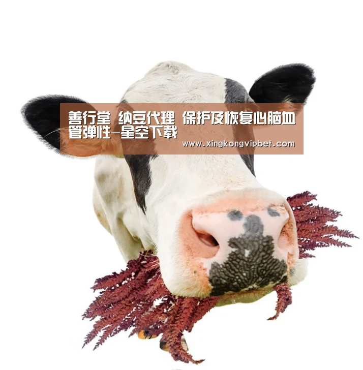 善行堂 纳豆代理 保护及恢复心脑血管弹性-星空下载(图4) 星空平台