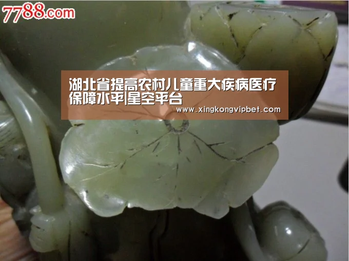 湖北省提高农村儿童重大疾病医疗保障水平|星空平台(图1) 星空下载