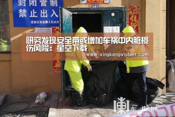 研究发现安全带或增加车祸中内脏损伤风险:星空下载(图1) 星空平台