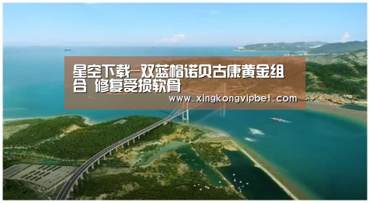 星空下载-双蓝帽诺贝古康黄金组合 修复受损软骨(图2) 星空平台