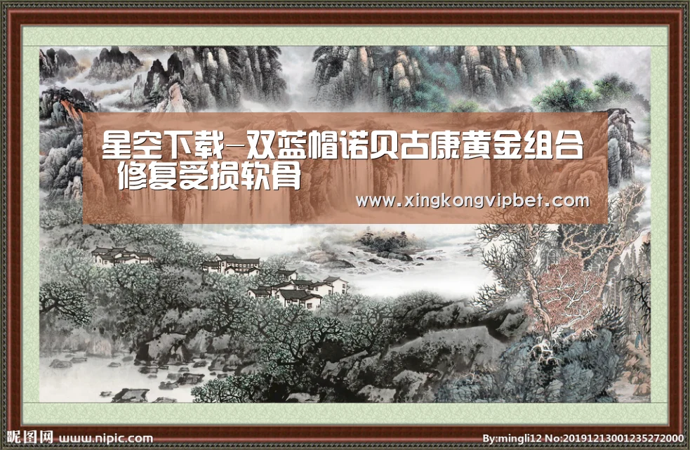 星空下载-双蓝帽诺贝古康黄金组合 修复受损软骨(图3) 星空电竞
